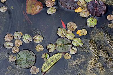 《黑帝斯2》招聘中文翻译 年内在PC端开启抢先体验